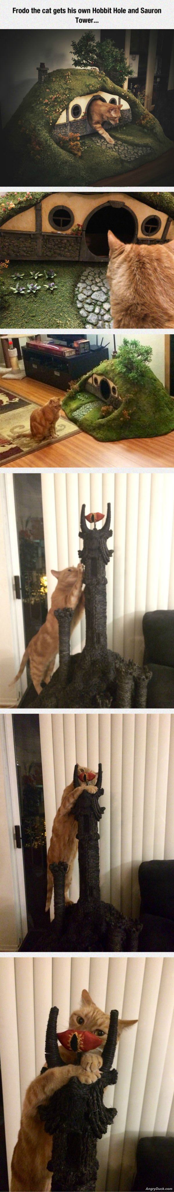 Sauron Tower Cat