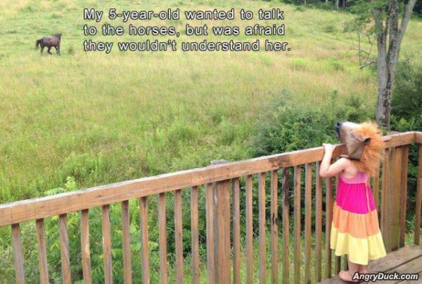 Talking To The Horses