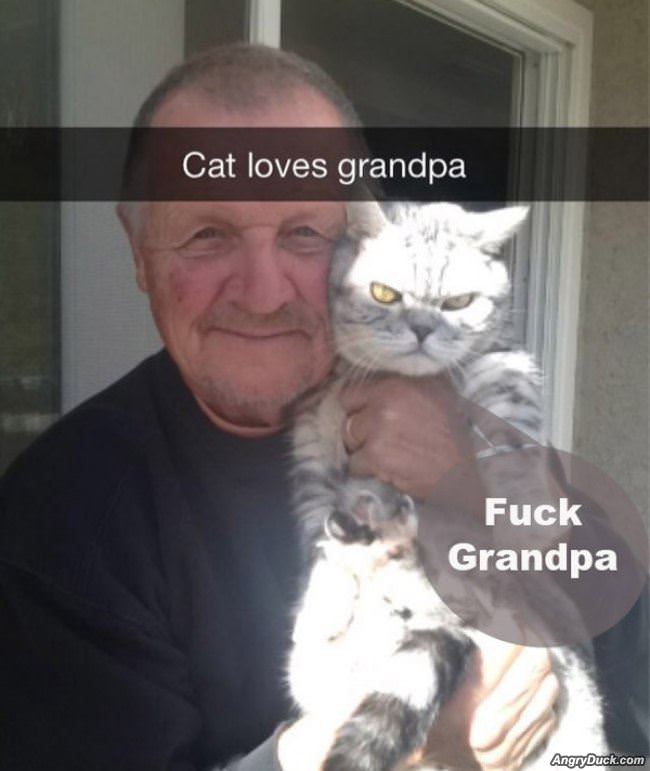 Cat Loves Grandpa
