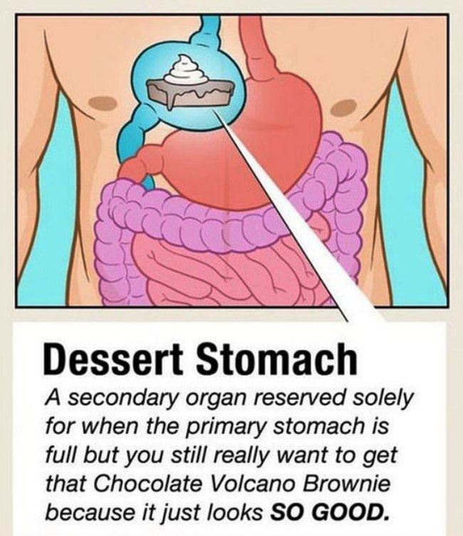 Dessert Stomach