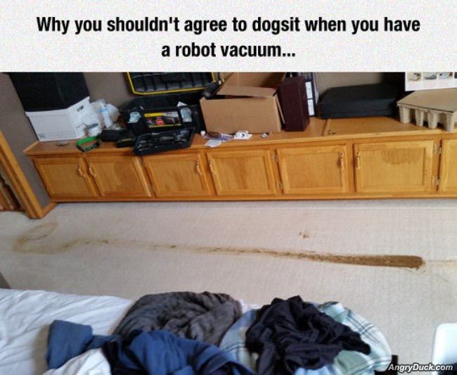 Dogsitting Can Be Extra Fun