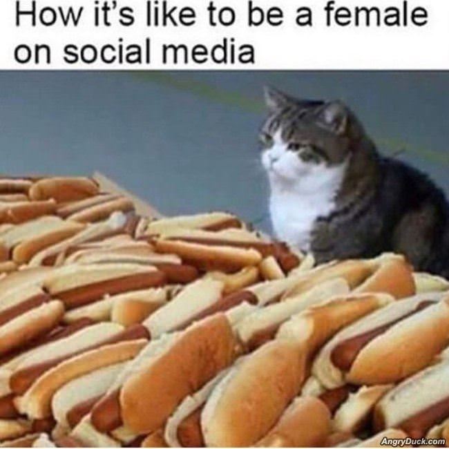 Females On Social Media