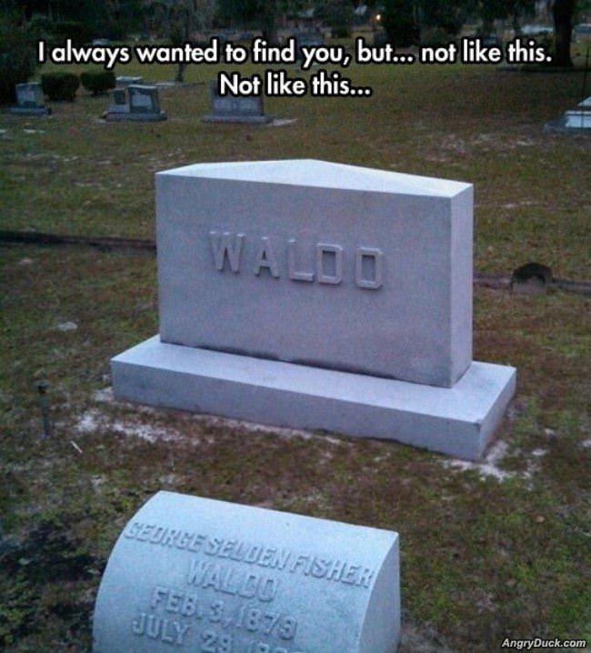 Finally Found Waldo
