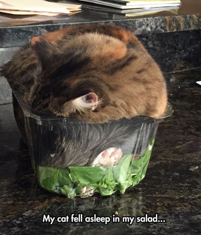 In My Salad