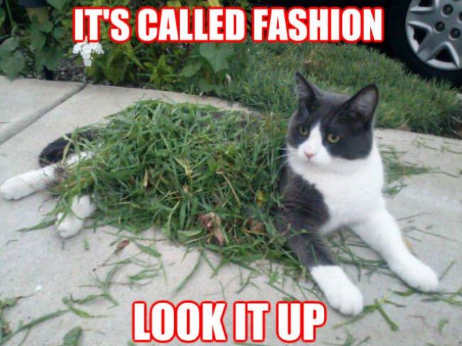Its Called Fashion