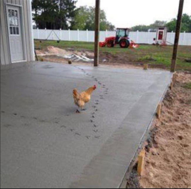 What Just Happened Here