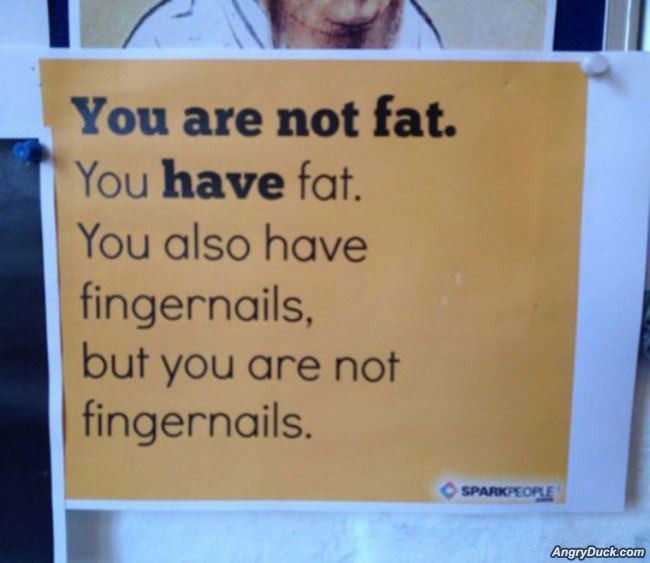 You Are Not Fat