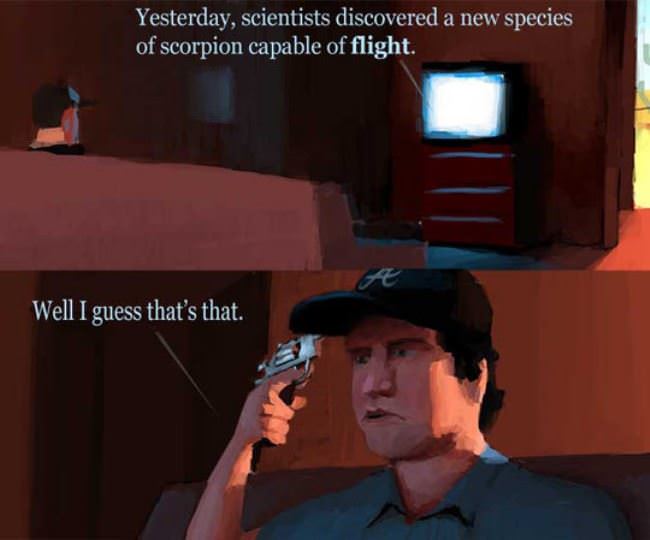 New Species Of Scorpion