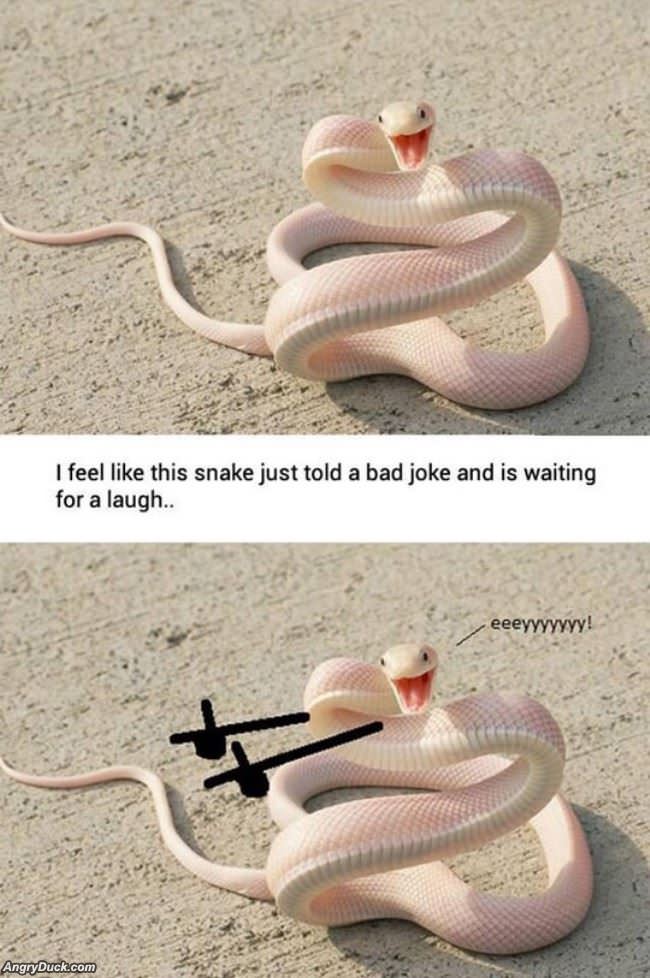 Snake Is Waiting