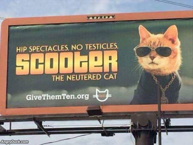 The Hero We All Deserve