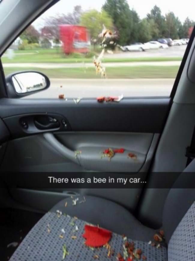 There Was A Bee In My Car