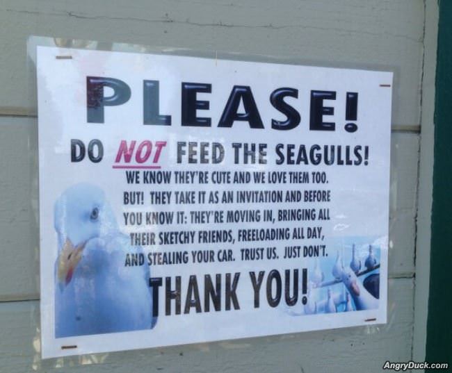 Do Not Feed