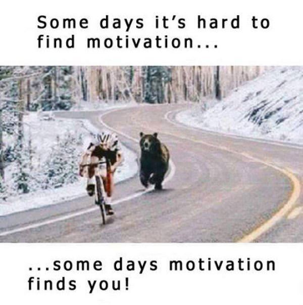 Motivation