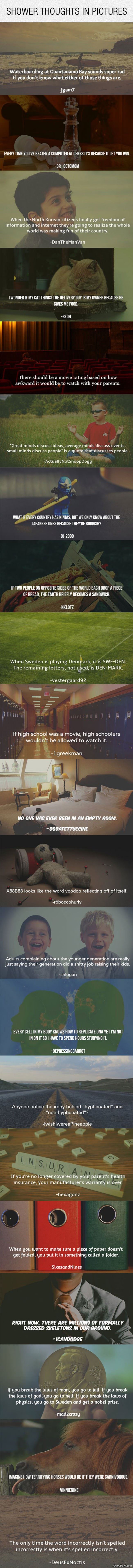 Shower Thoughts In Pictures