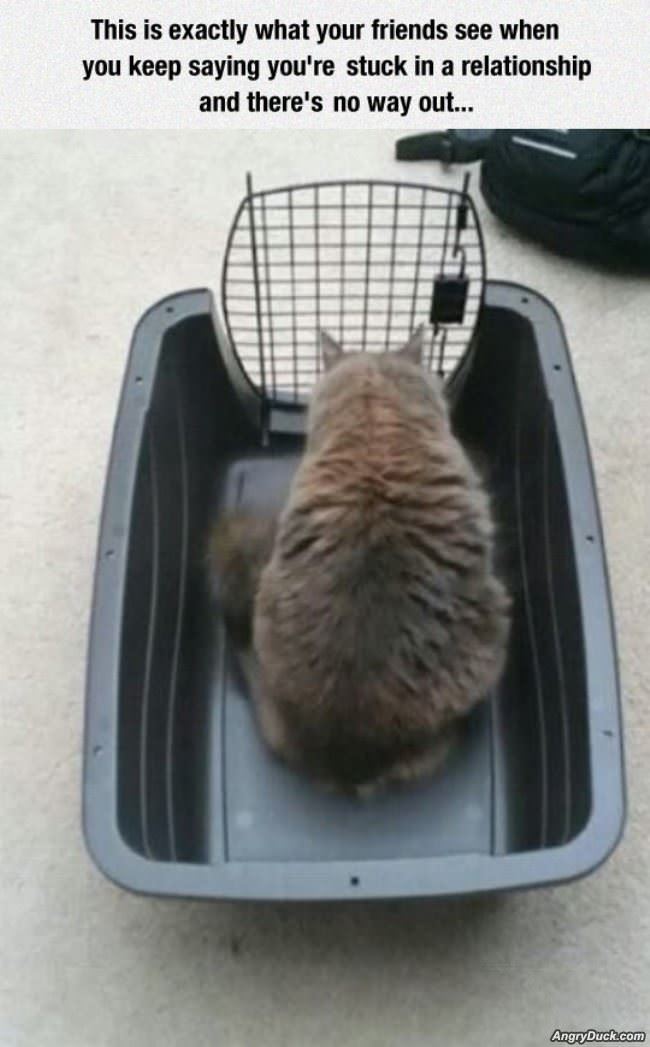 What Your Friends See