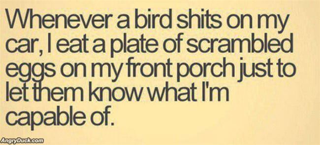 Bird Shit On My Car