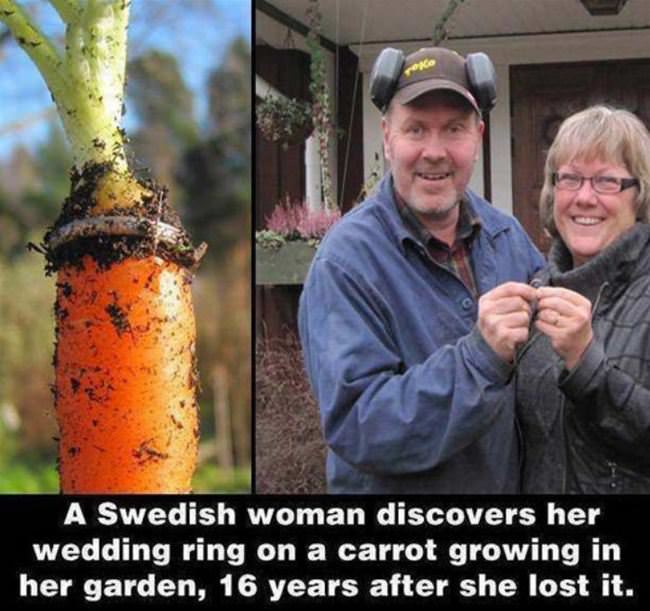 Found Her Wedding Ring