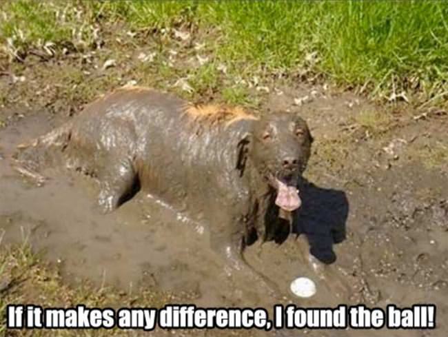 If It Makes A Difference