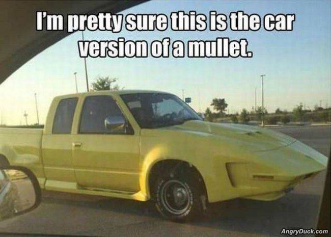 The Car Version Of A Mullet