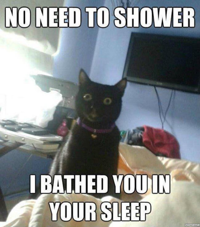There Is No Need To Shower Human
