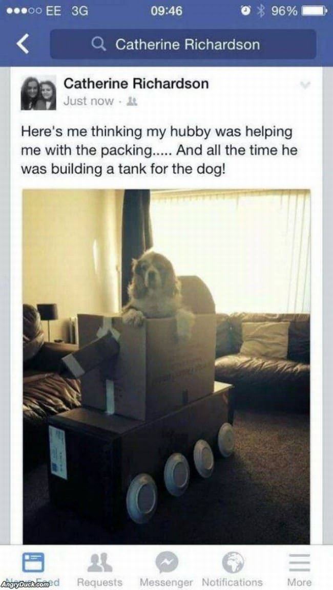 Building A Tank For The Dog