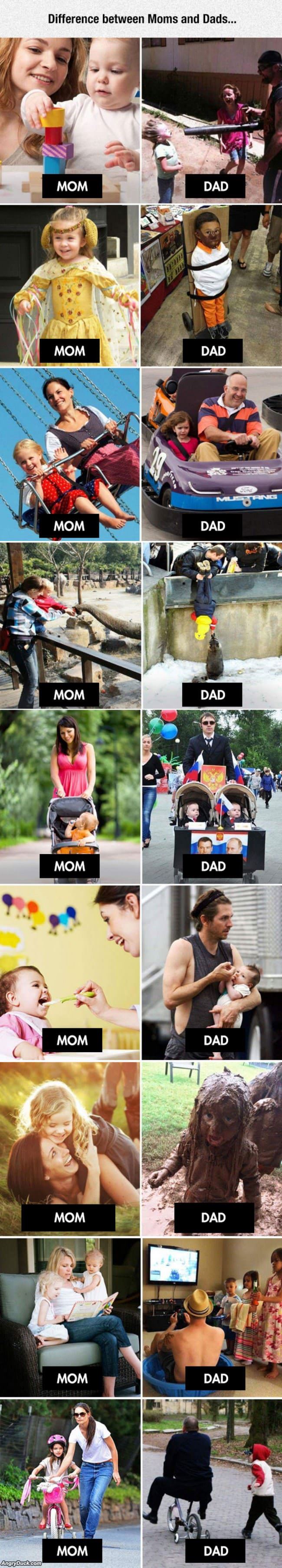 Difference Between Moms And Dads