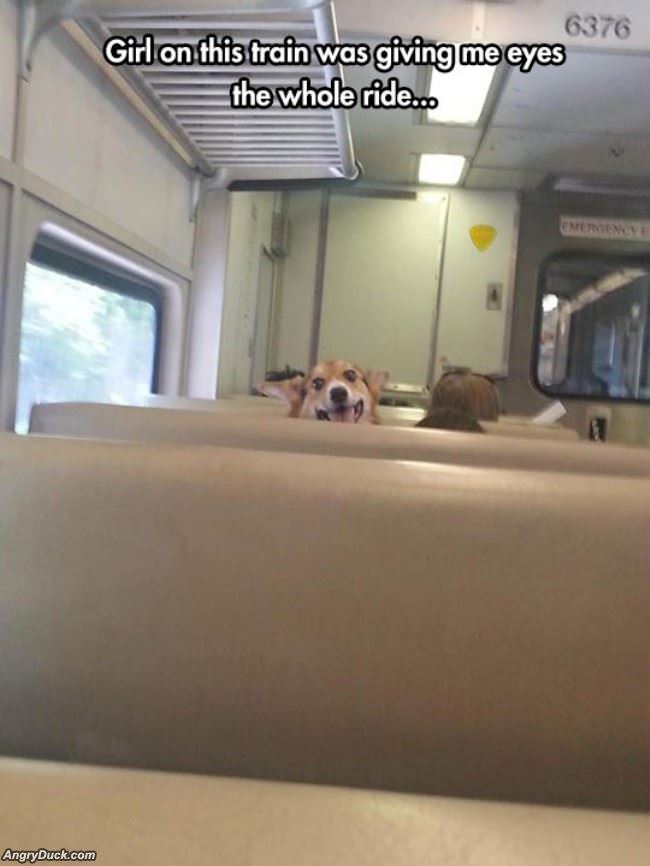 Girl On The Train