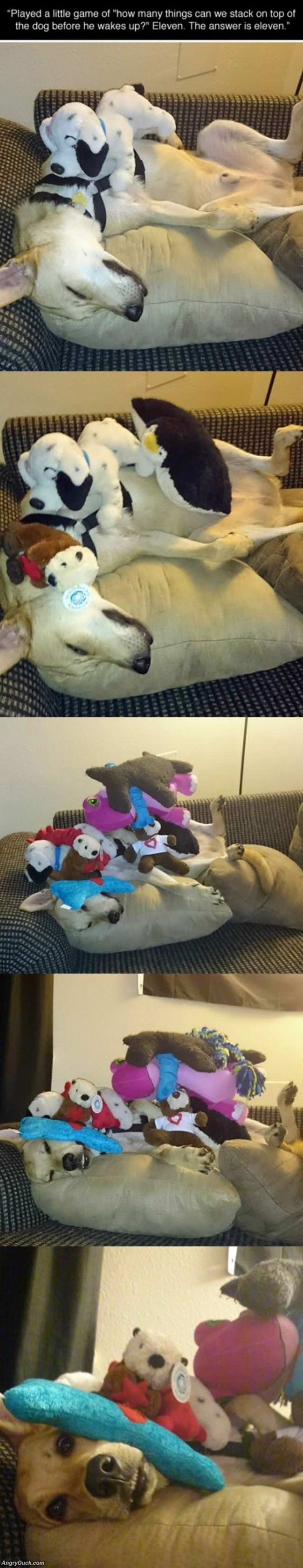 How Many Toys Can I Stack