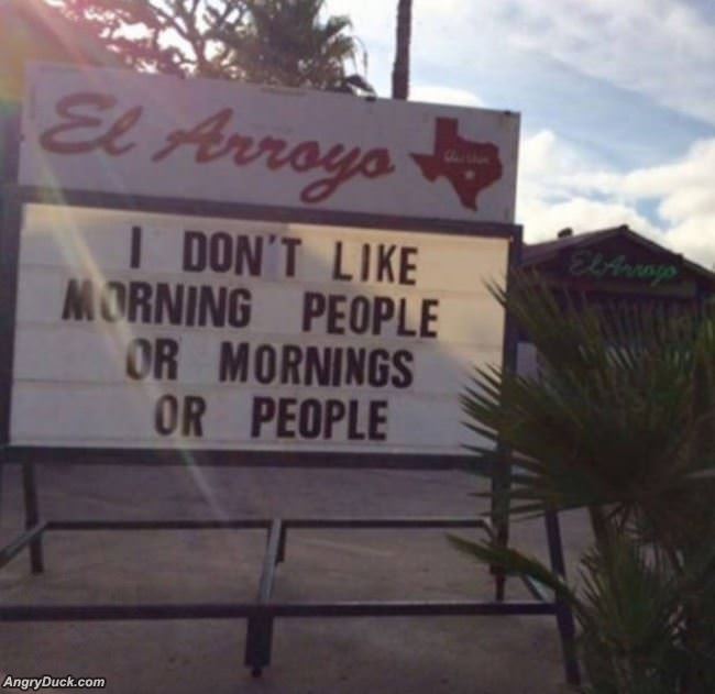 I Dont Like Mornings