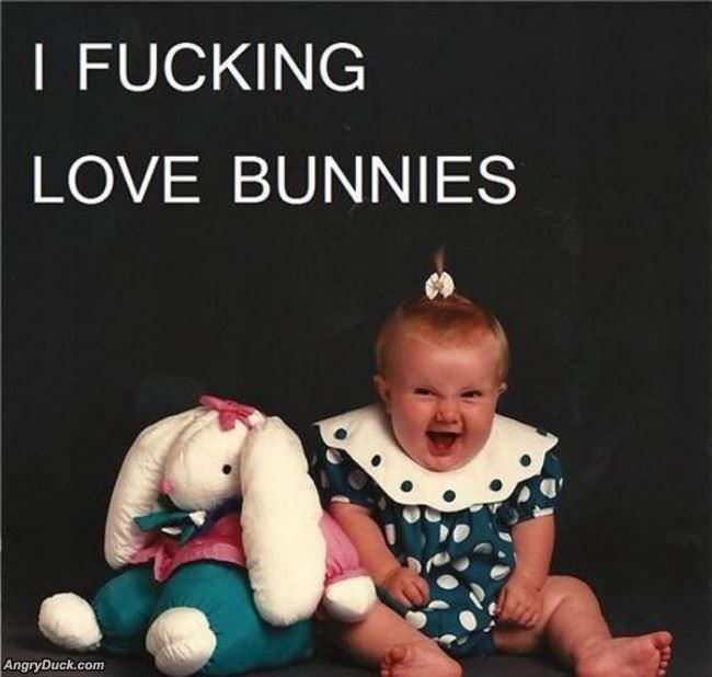 I Love Bunnies
