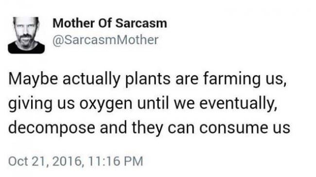 Maybe Plants Are Farming Us