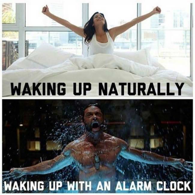 Various Ways To Wake Up