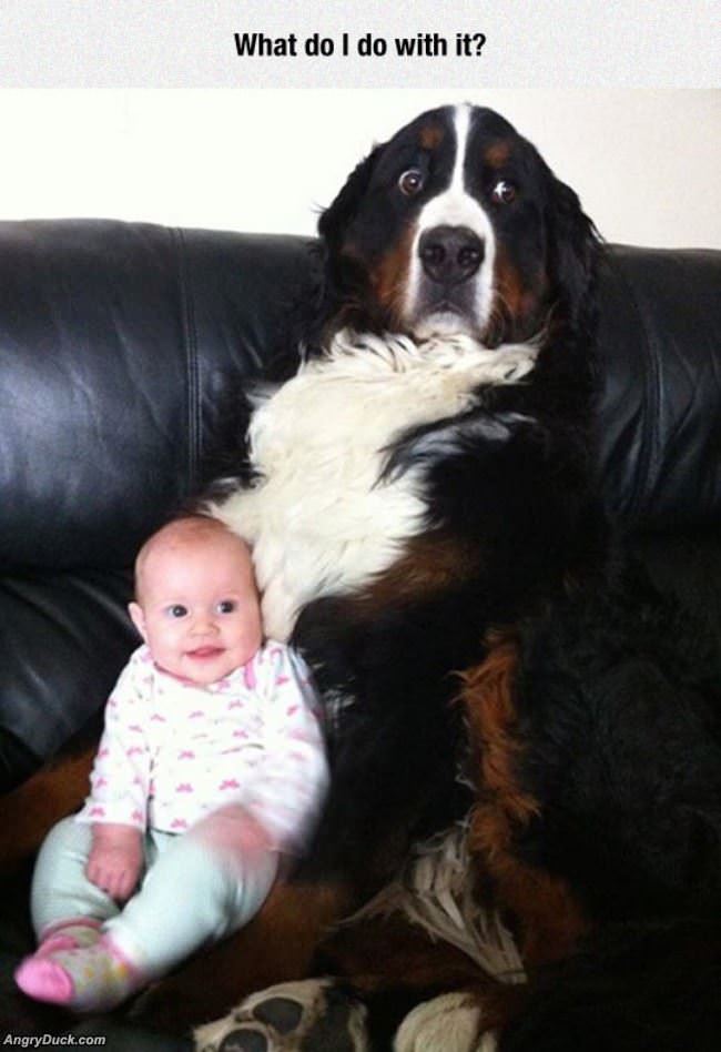 What Do I Do With It