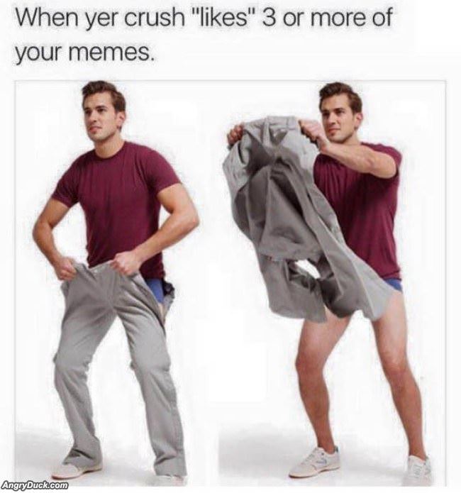 Crushes Like On Your Memes