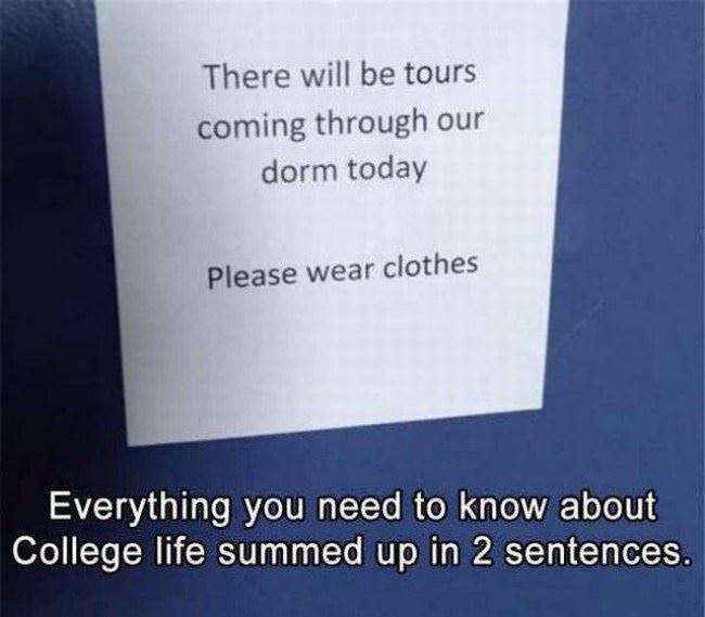 Everything You Need To Know