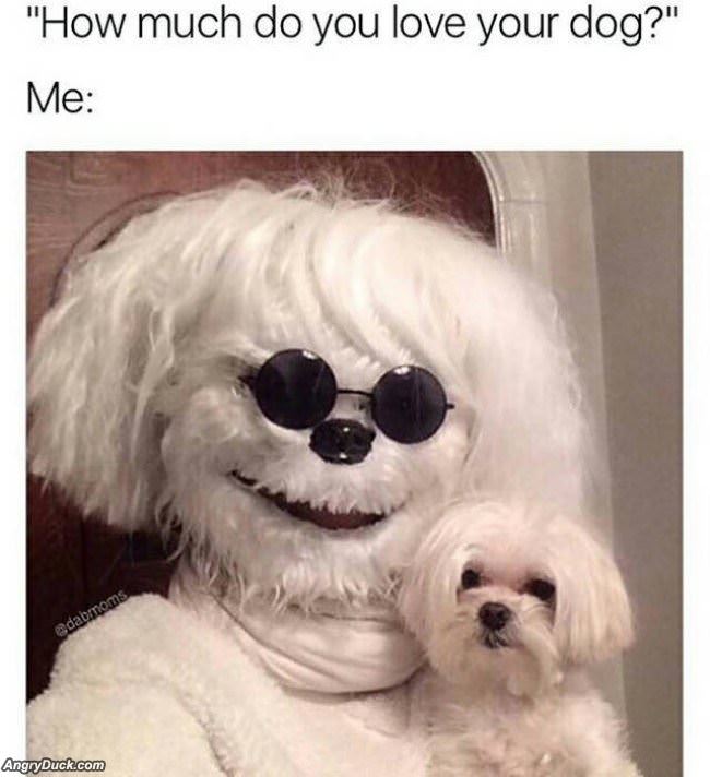 How Much Do You Love Your Dog