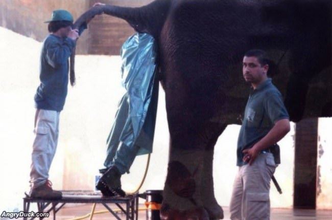Not The Best Job In The World