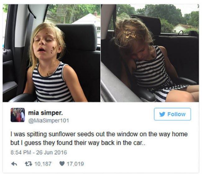 Spitting Sunflower Seeds