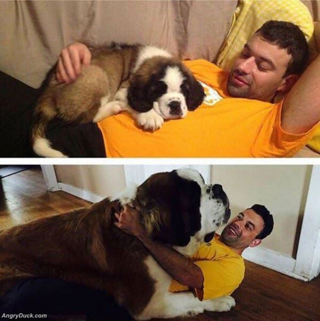 The Before And After Picture