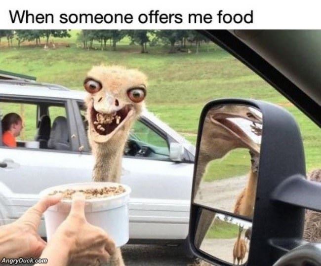 When Someone Offers Me Food