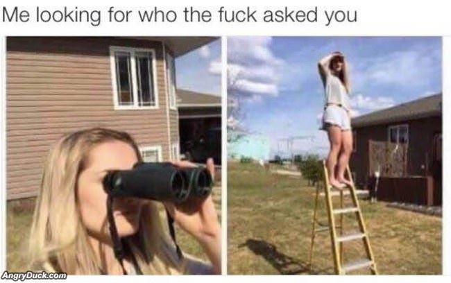 Who Asked You