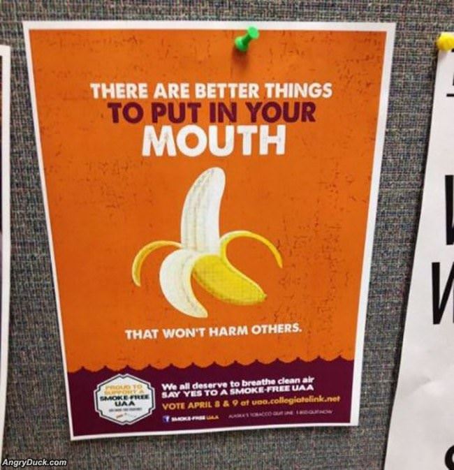 Better Things To Put In Your Mouth