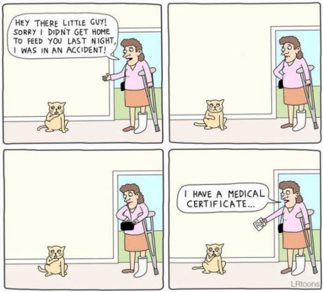 Did Not Make It Home