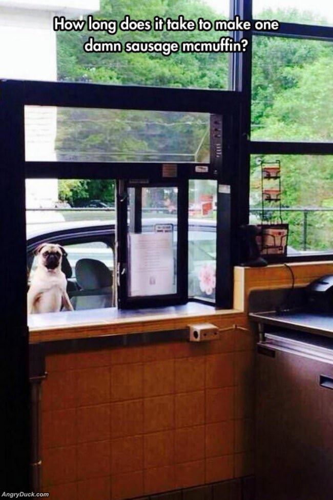 How Long Does It Take