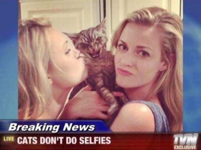 Cats Dont Do Selfies