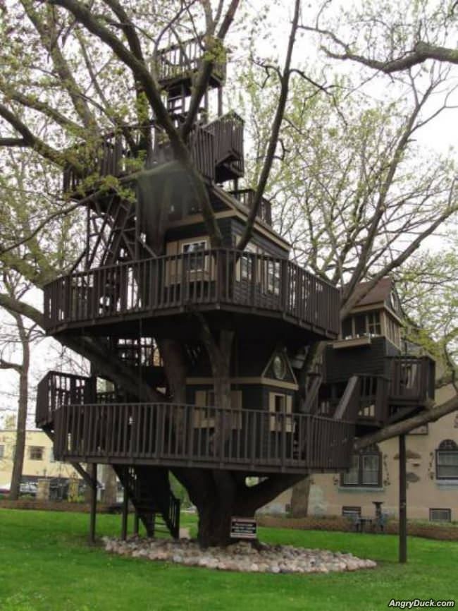 Ridiculous Tree House