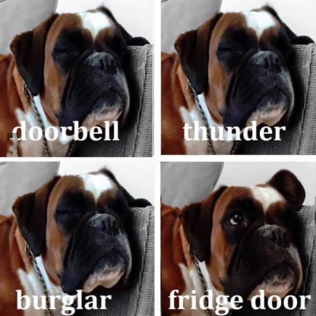 Some Things Are More Important