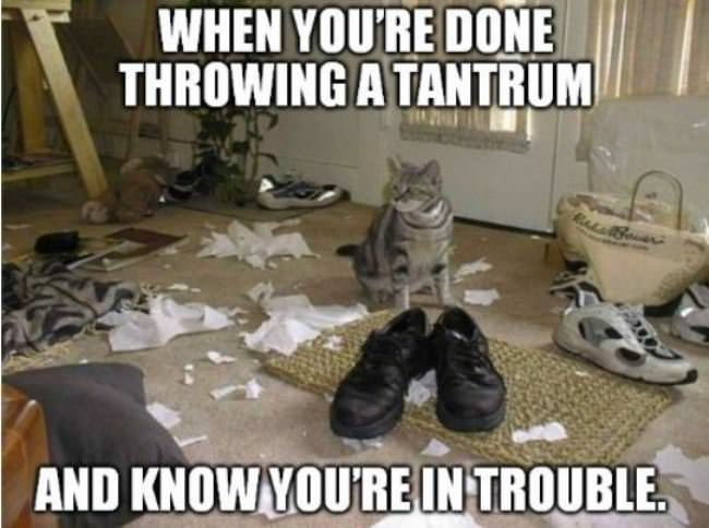 Tantrum
