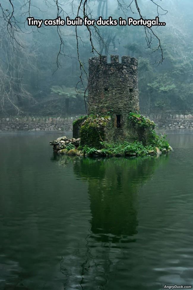 Tiny Duck Castle