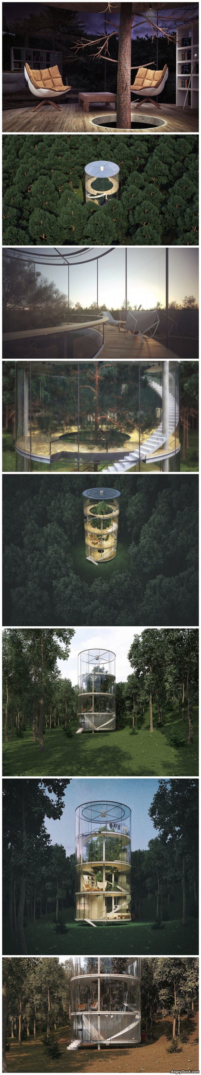 Cool House For Nature Lovers